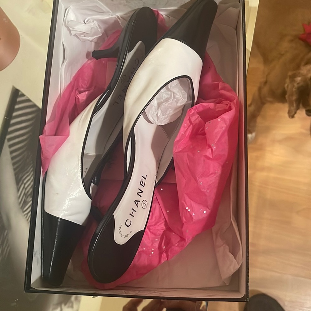 Beautiful white and black Mules